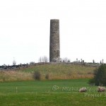 Meelick Round Tower viewed from the south.