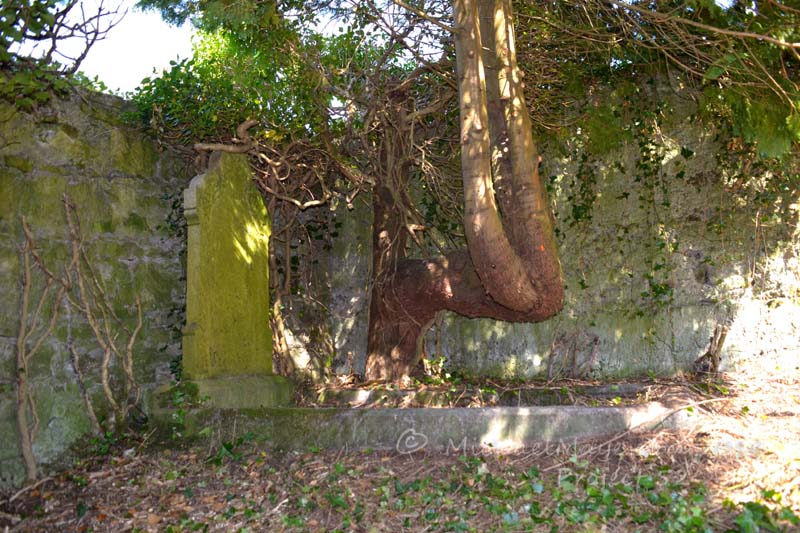 old protestant graveyard swinford co mayo