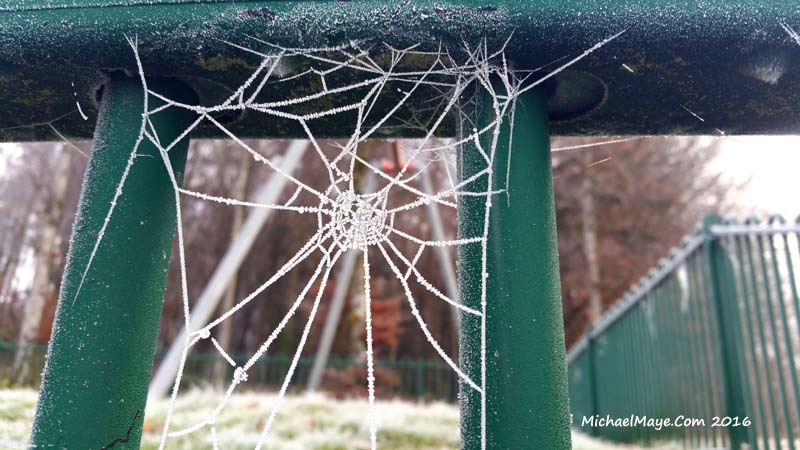 Winter Frosts 2016