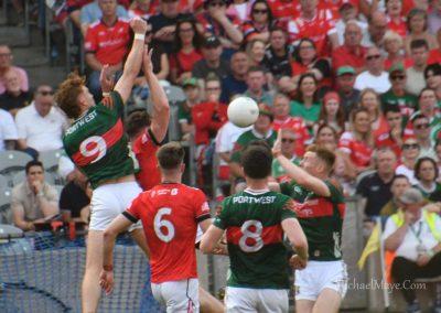 All Ireland Semi Final Mayo v Louth