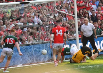 All Ireland Semi Final Mayo v Louth